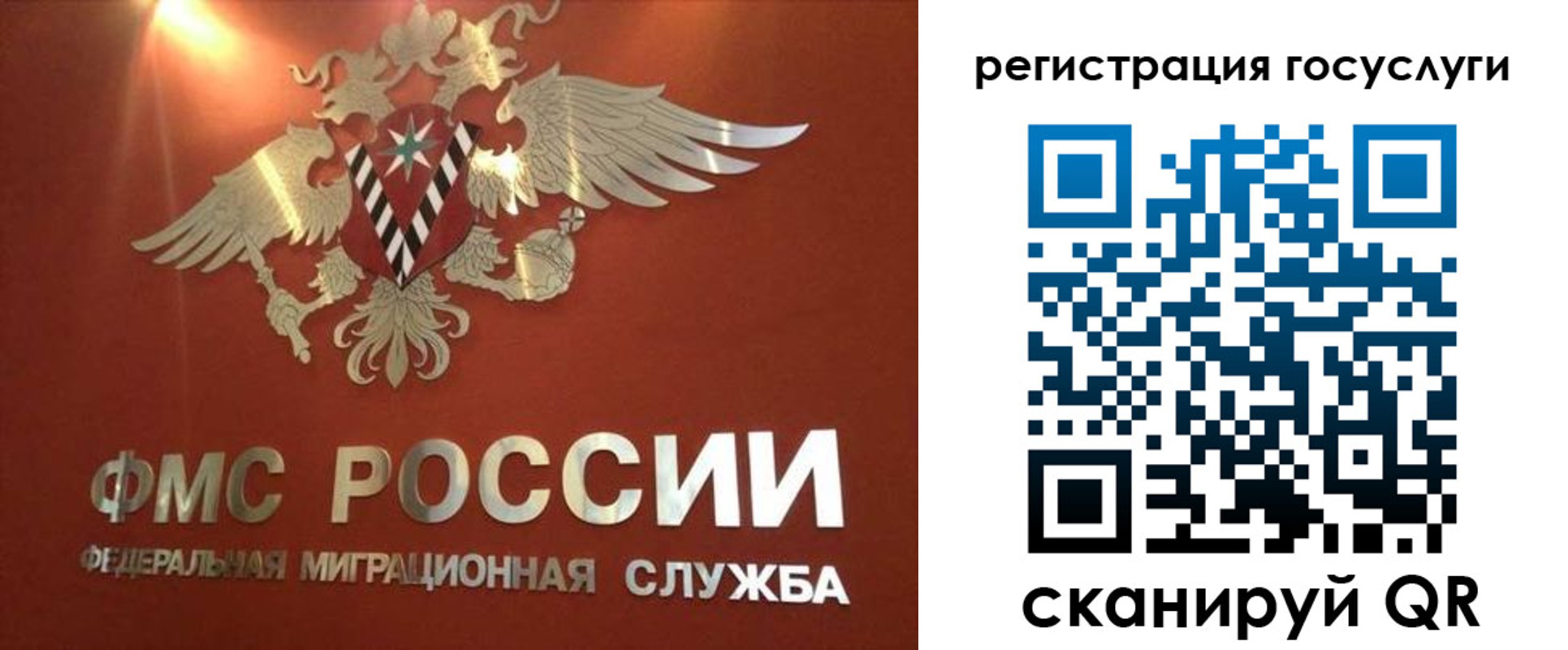прописка ребенка в Завитинске